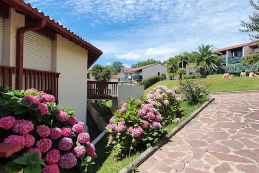 Appartamento Caporizon-Baillenia-T1 Vue Montagne - Piscine St Jean De Luz Saint-Jean-de-Luz Esterno foto